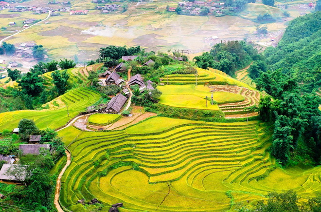 ハノイ発 ムーカンチャイ＆サパ2泊3日 (ホームステイ)